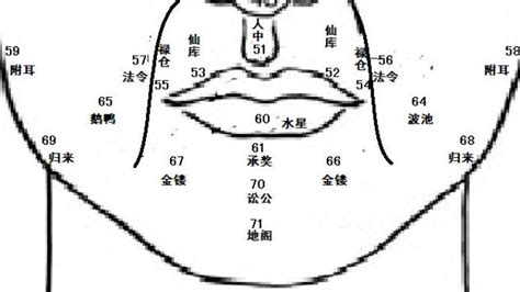 癦面相|麦玲玲面相讲座之 癦痣 – 人相学